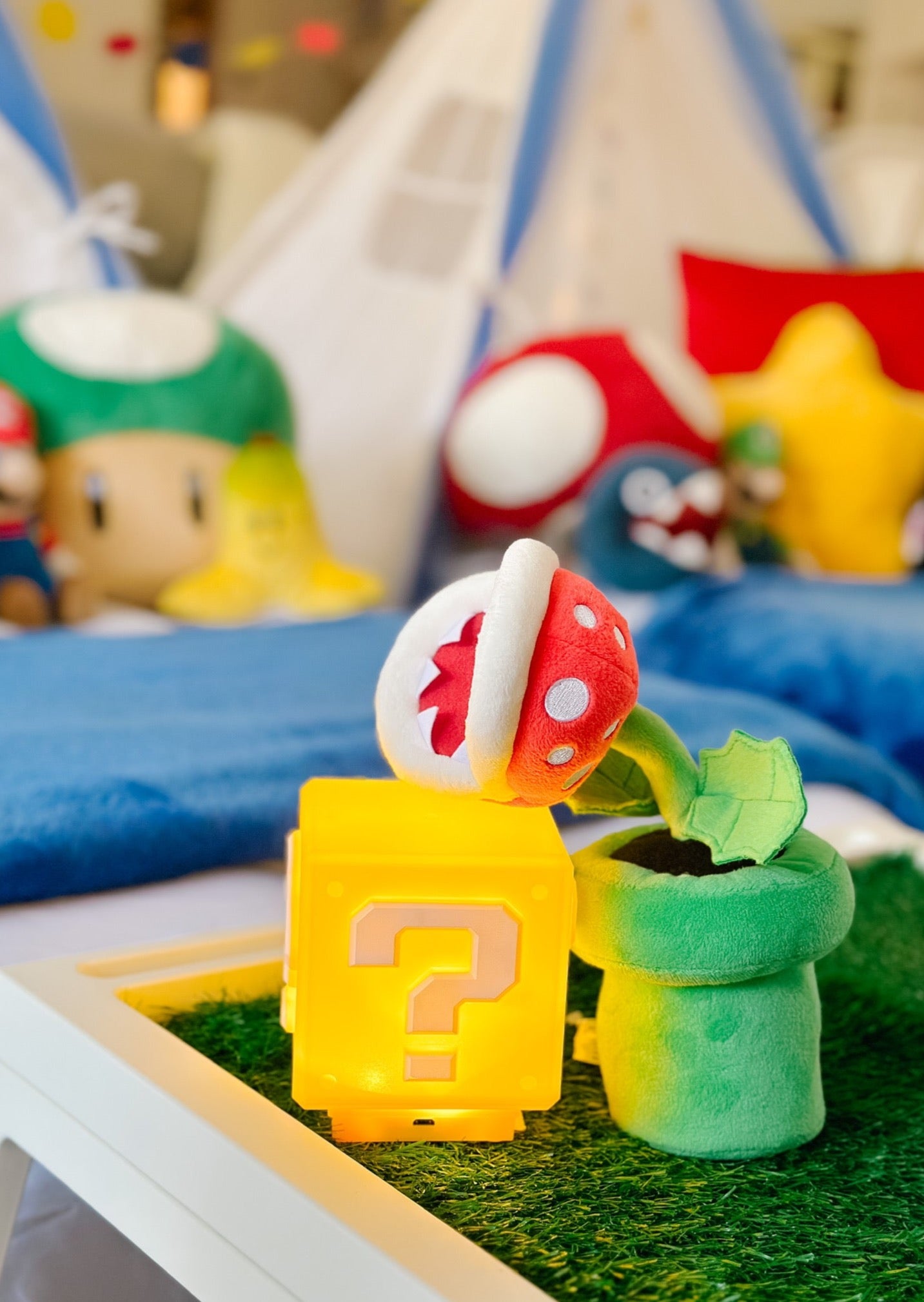 Mario Sleepover Party Tent Rental Dallas