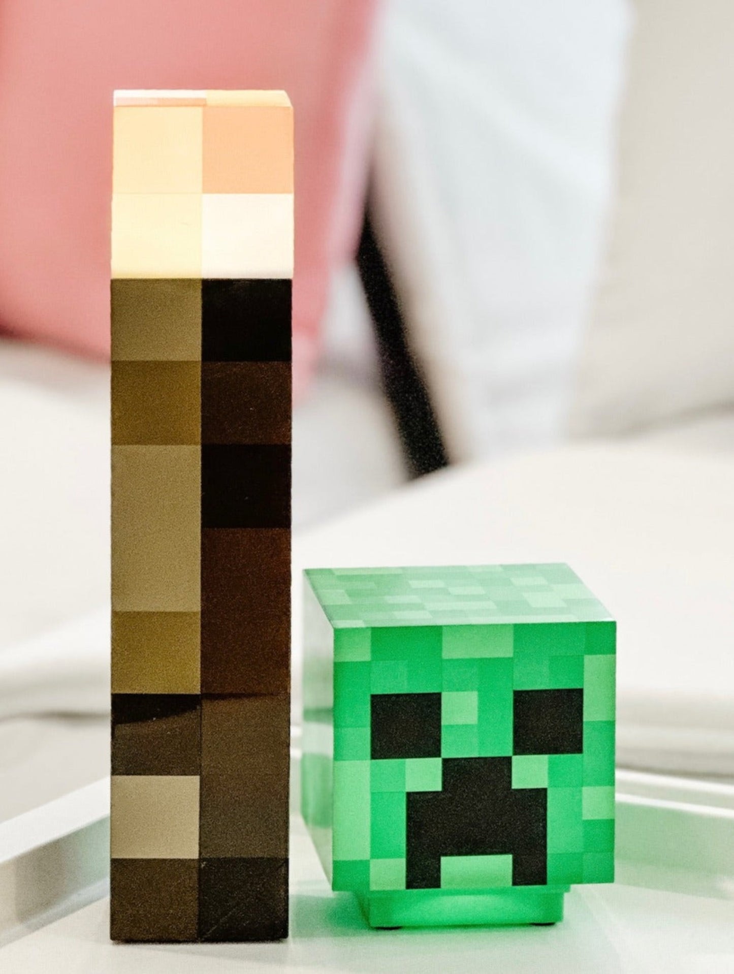 Minecraft Sleepover Party Tent Rental Dallas