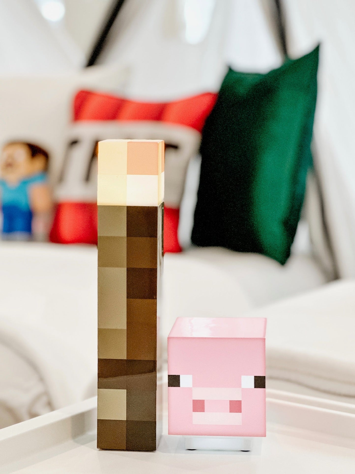Minecraft Sleepover Party Tent Rental Dallas